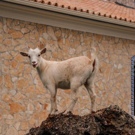 Quinta Do Bamby Villa เลเรีย ภายนอก รูปภาพ
