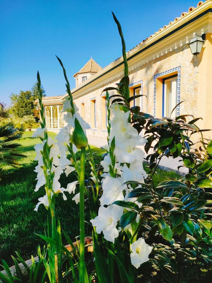Quinta Do Bamby Villa เลเรีย ภายนอก รูปภาพ