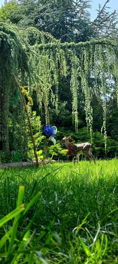 Quinta Do Bamby Villa เลเรีย ภายนอก รูปภาพ