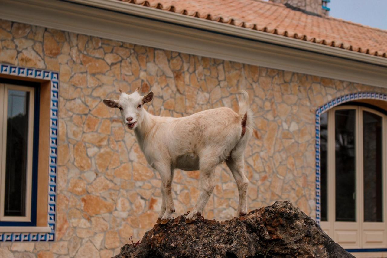Quinta Do Bamby Villa เลเรีย ภายนอก รูปภาพ